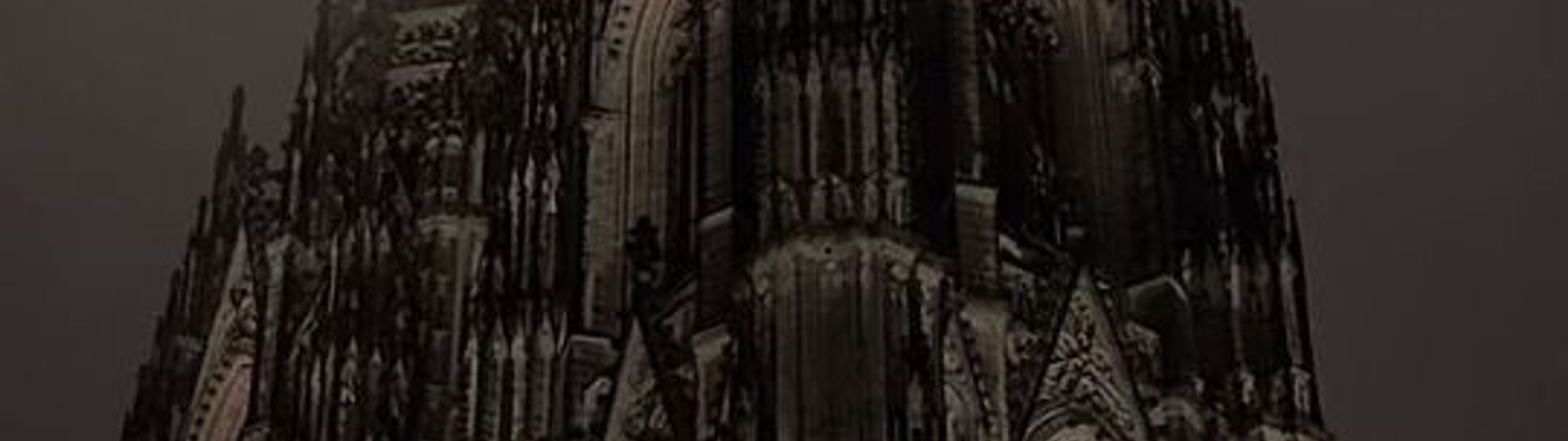 Profile Banner