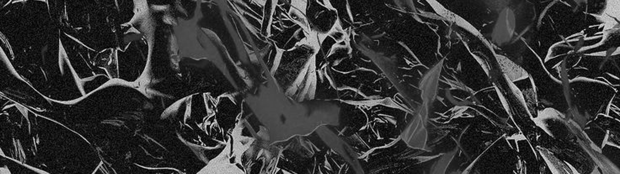 Profile Banner