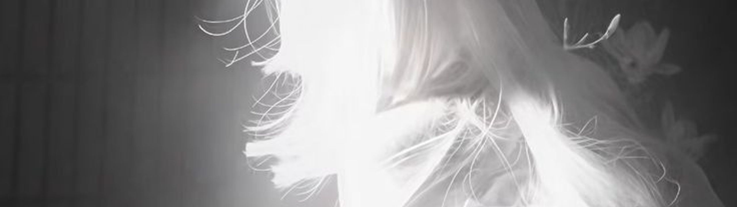 Profile Banner