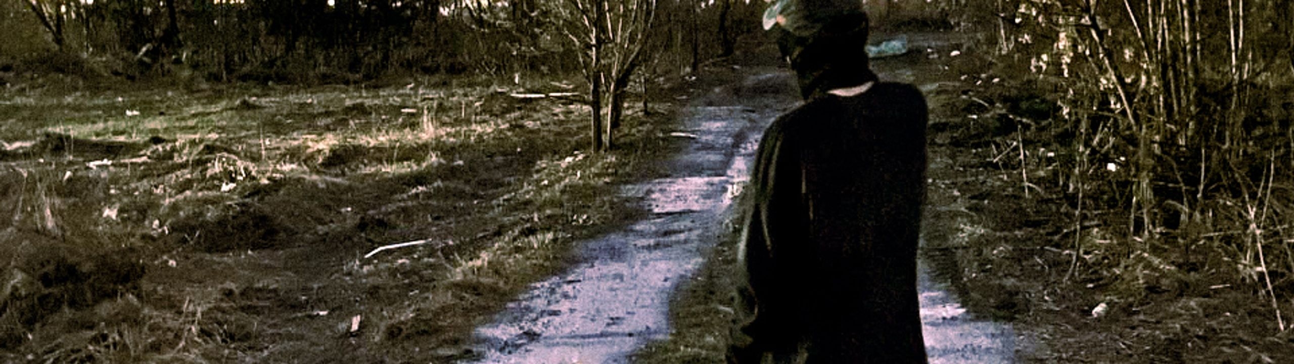 Profile Banner