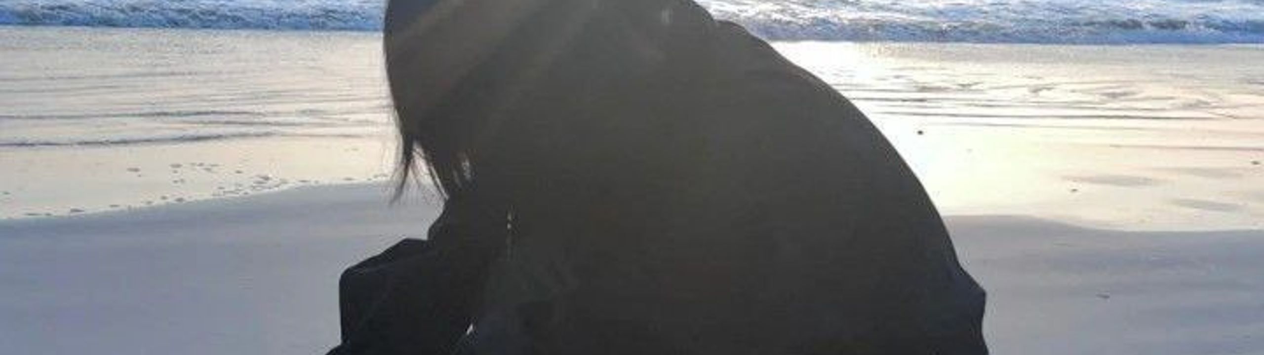 Profile Banner
