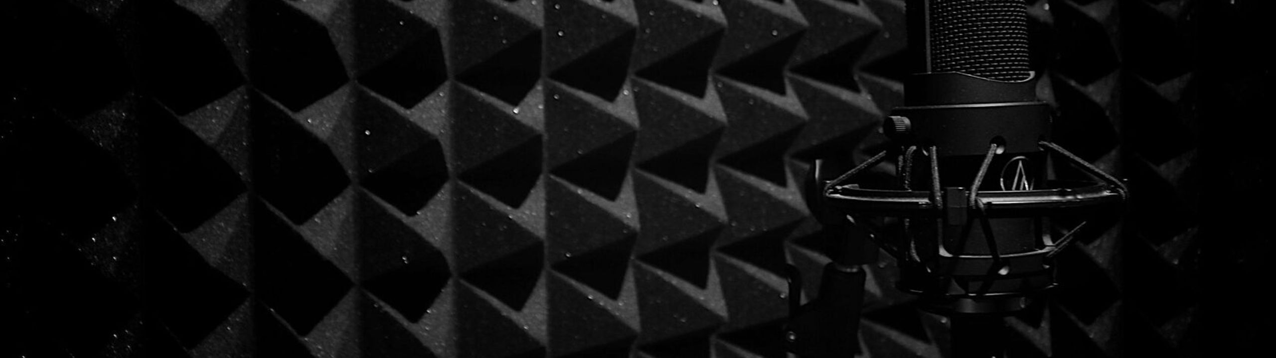 Profile Banner