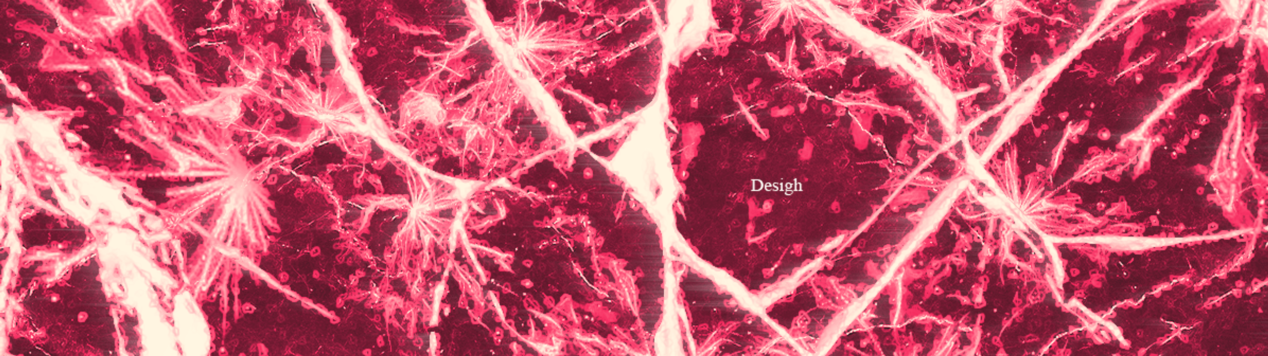 Profile Banner