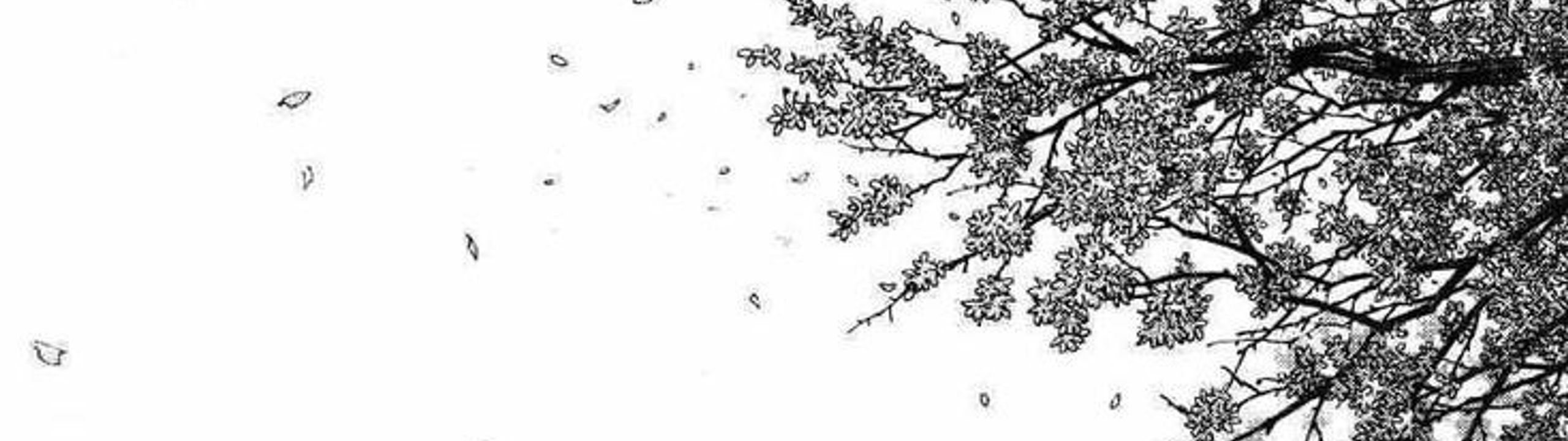 Profile Banner