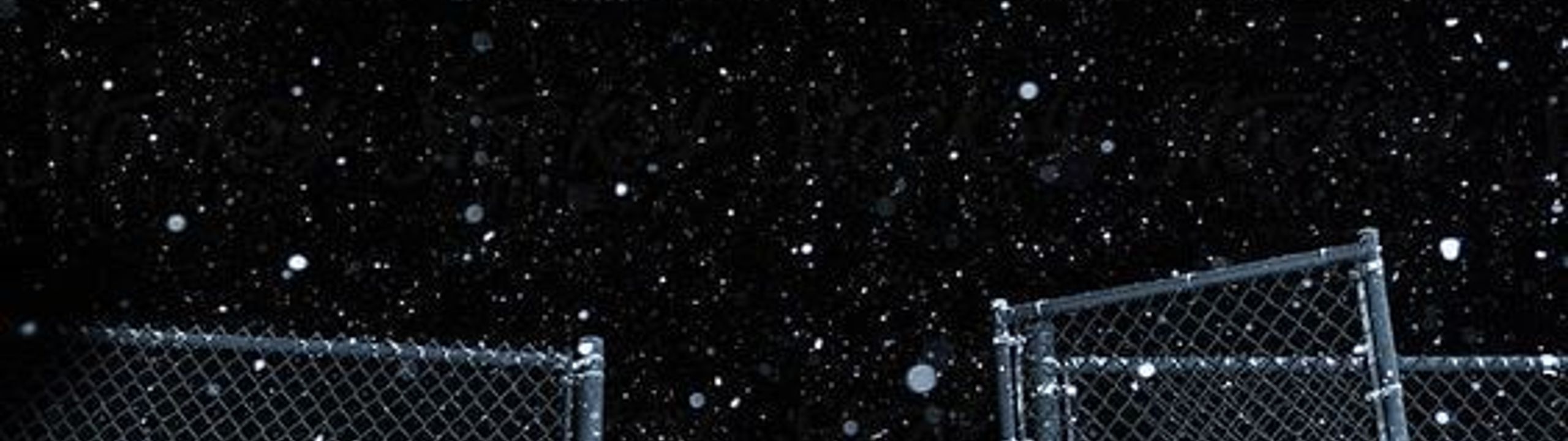 Profile Banner