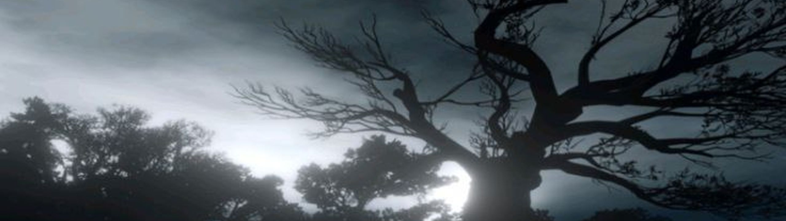 Profile Banner
