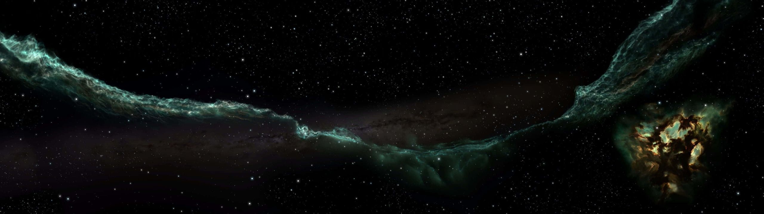 Profile Banner