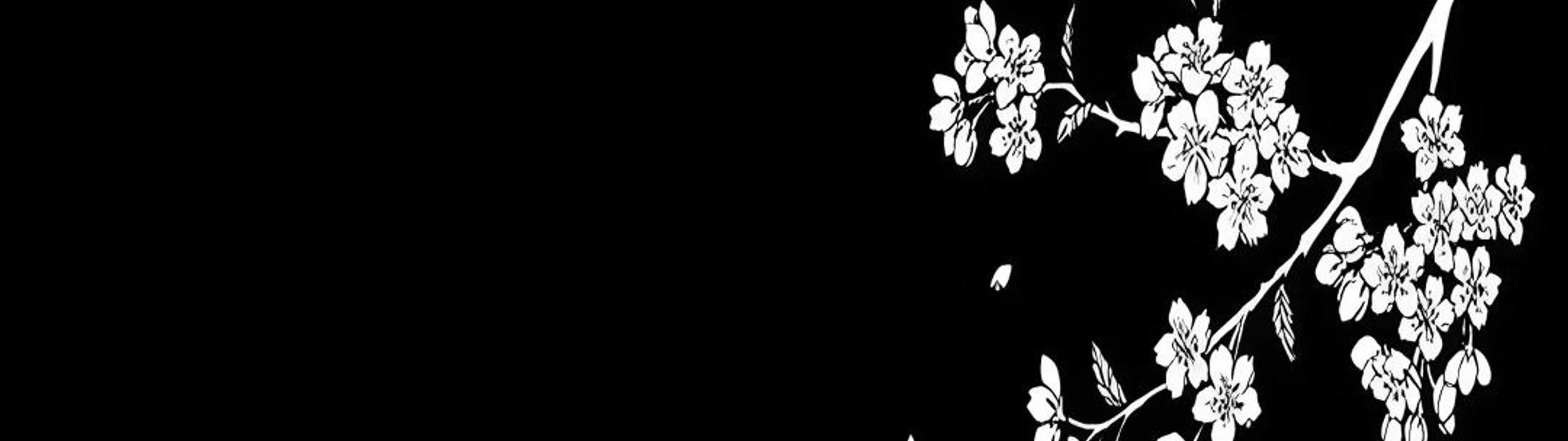 Profile Banner