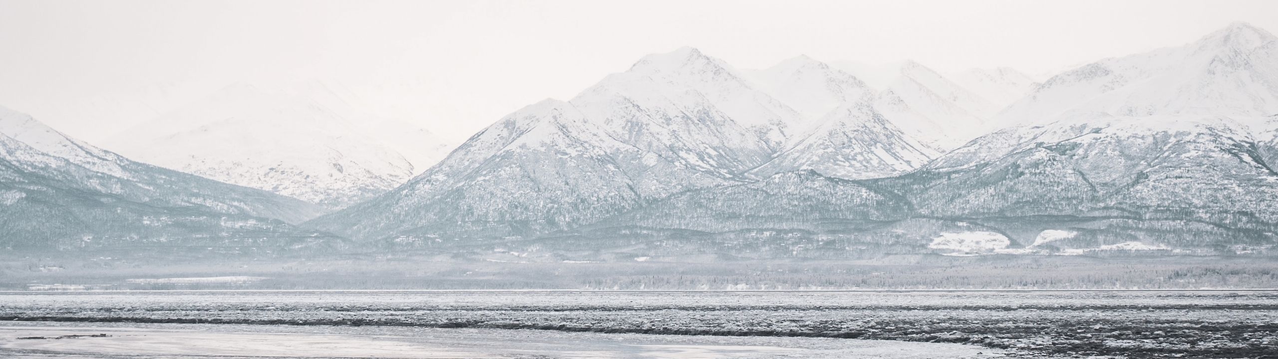 Profile Banner