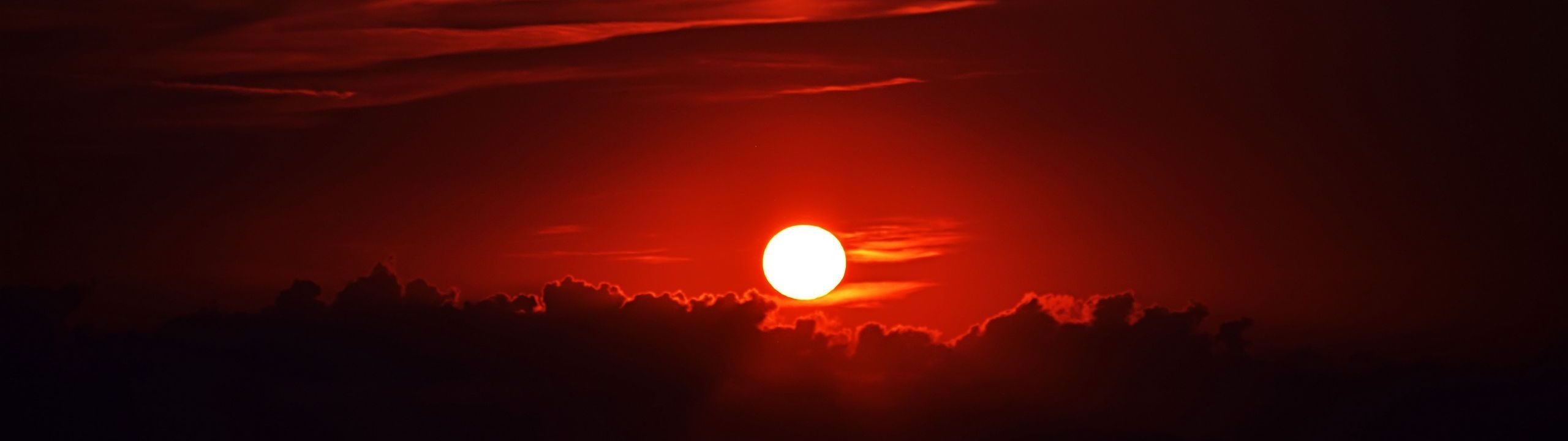 Profile Banner
