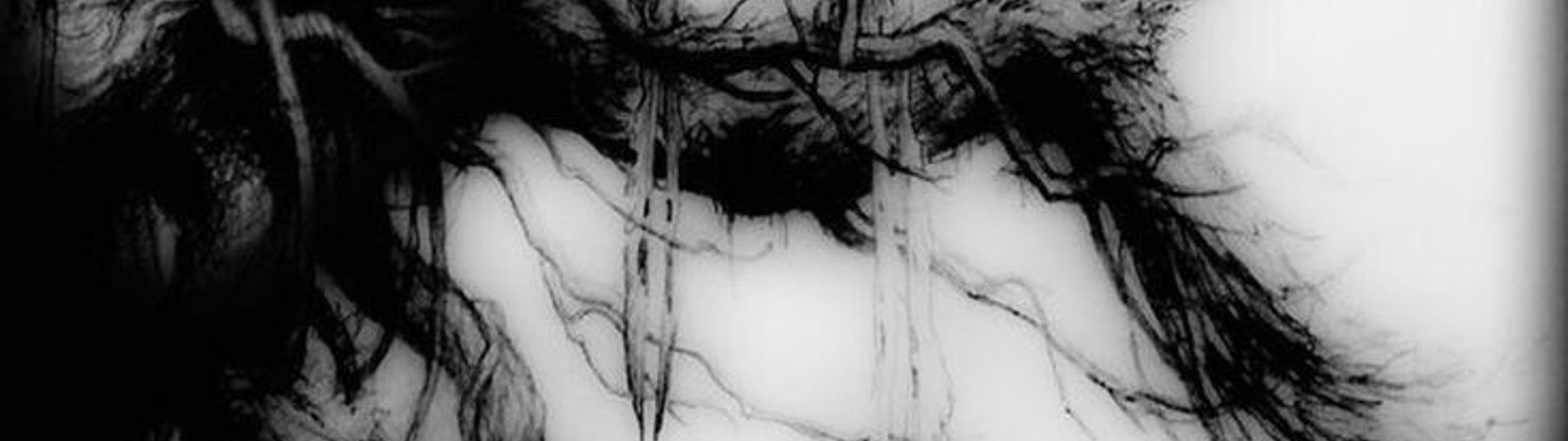 Profile Banner