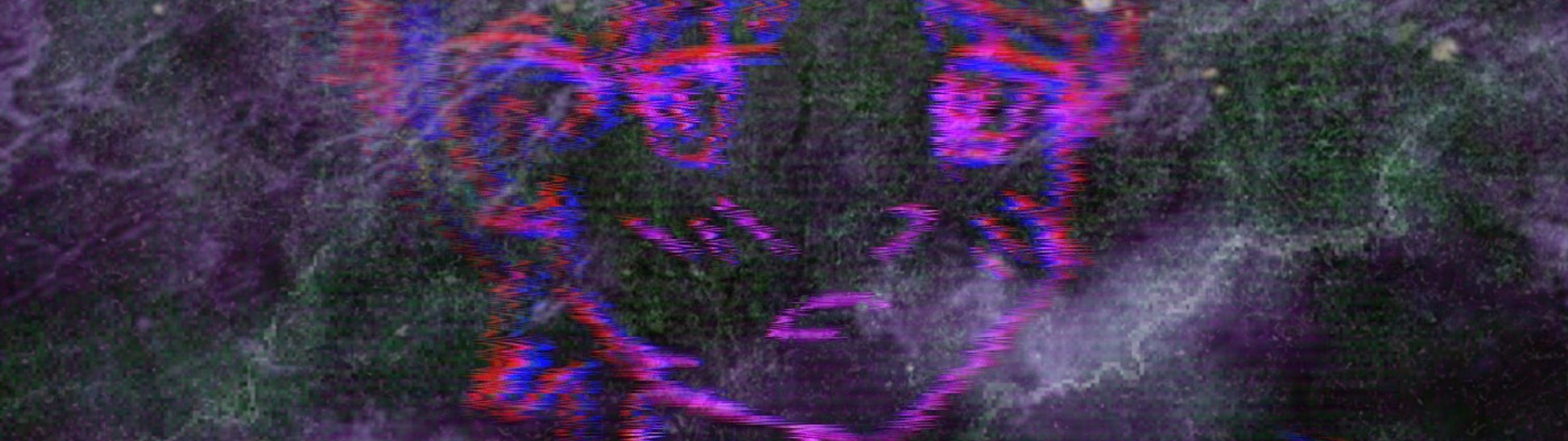 Profile Banner