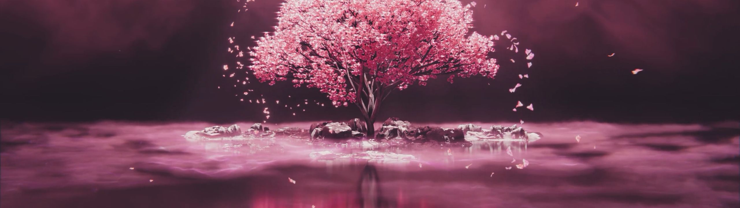 Profile Banner