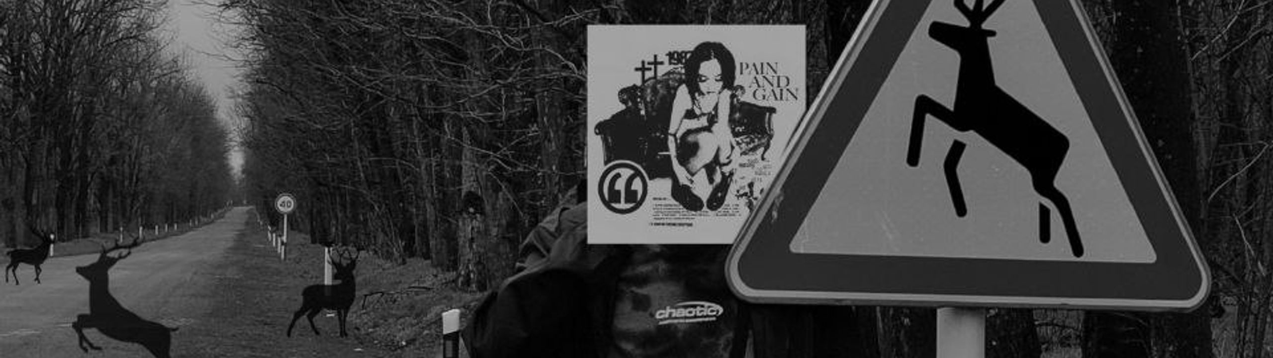 Profile Banner