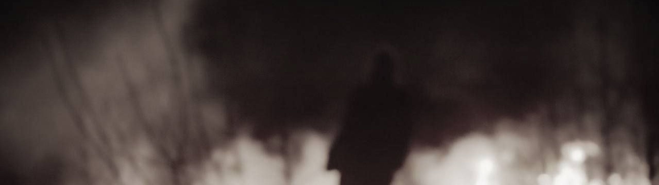 Profile Banner