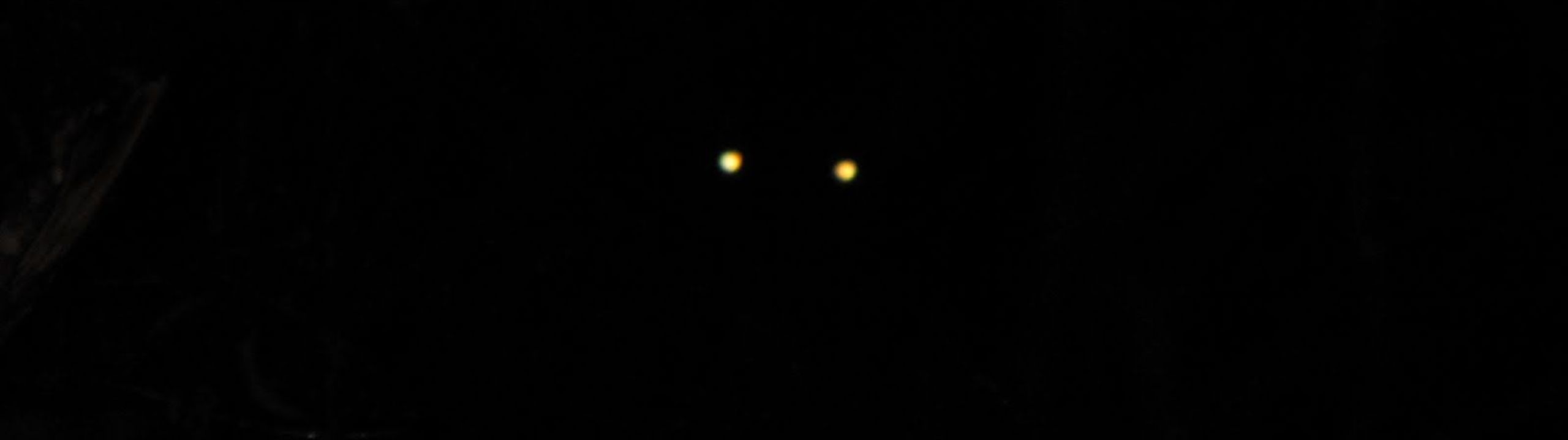 Profile Banner