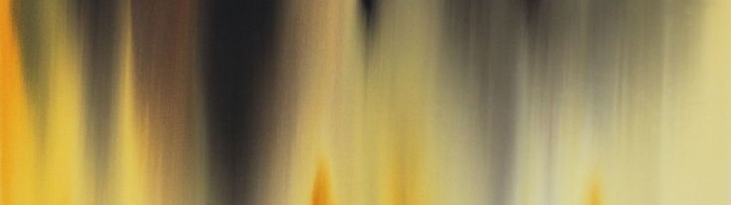 Profile Banner