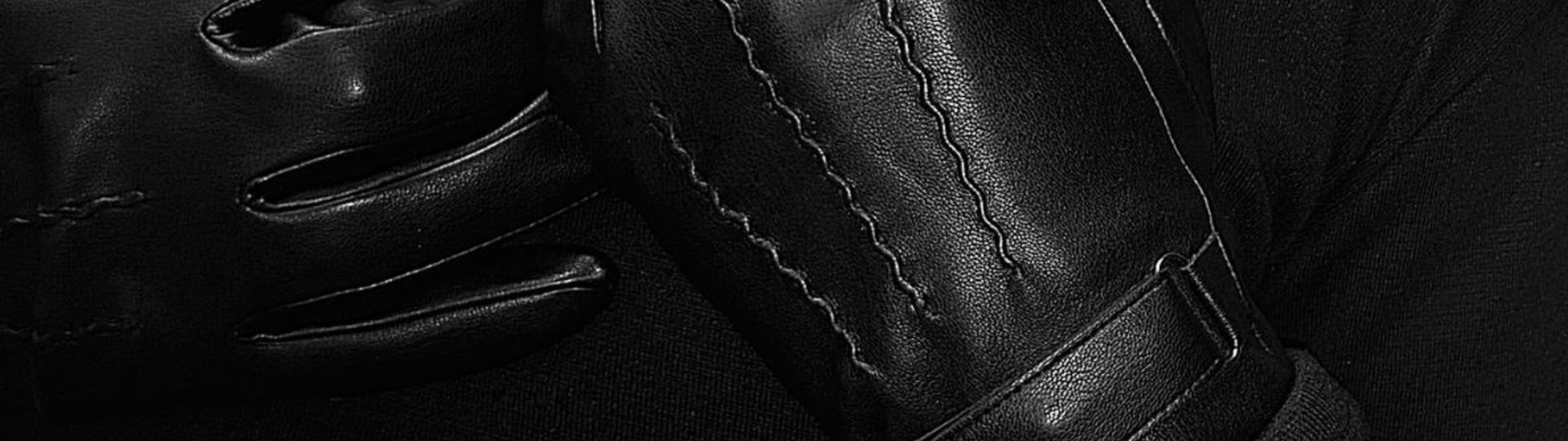 Profile Banner