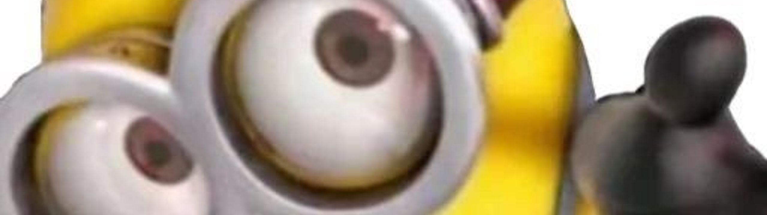 Profile Banner