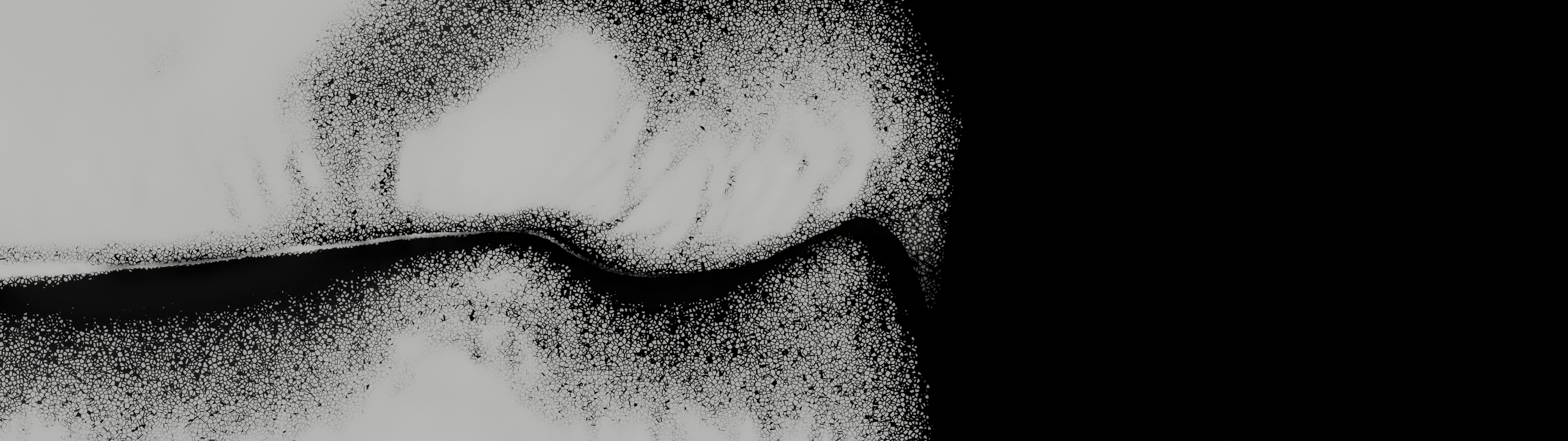 Profile Banner