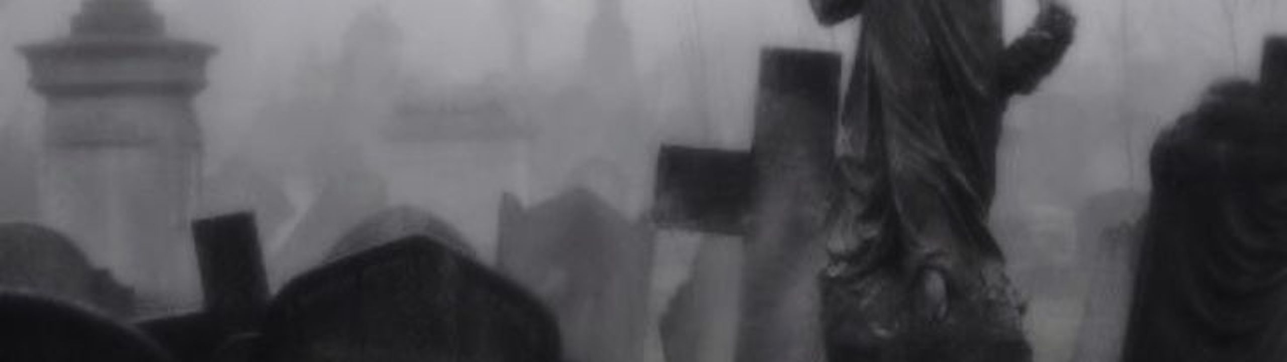 Profile Banner