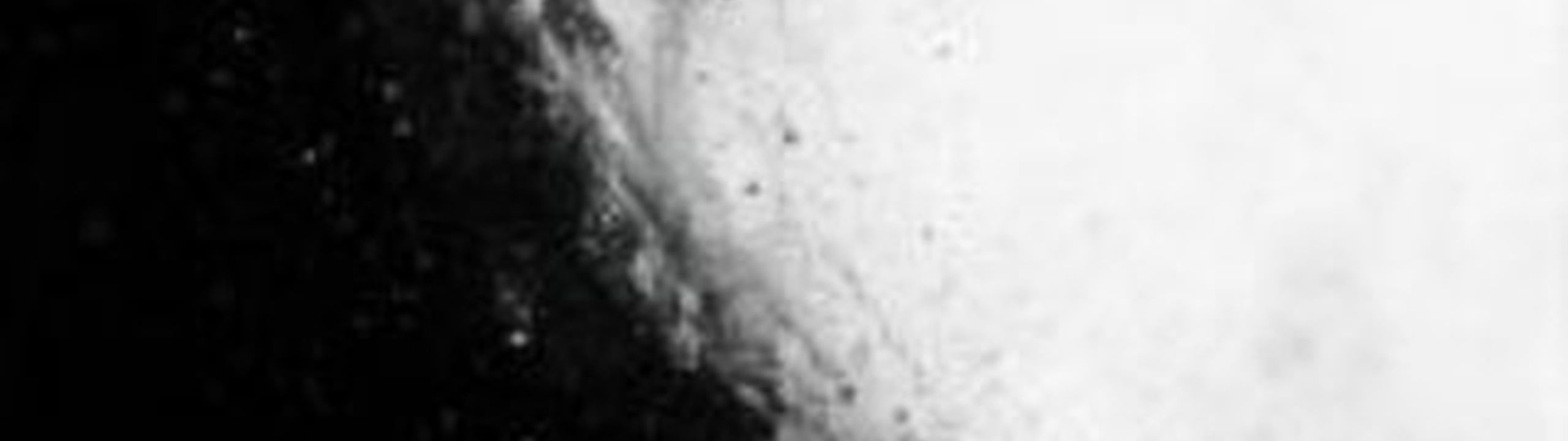 Profile Banner