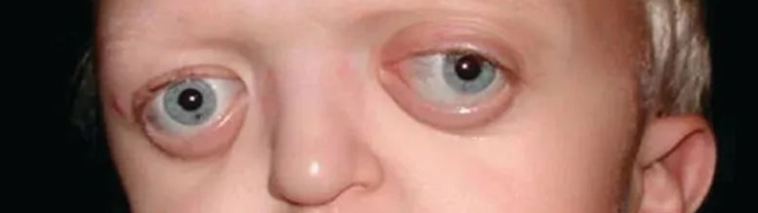 Profile Banner