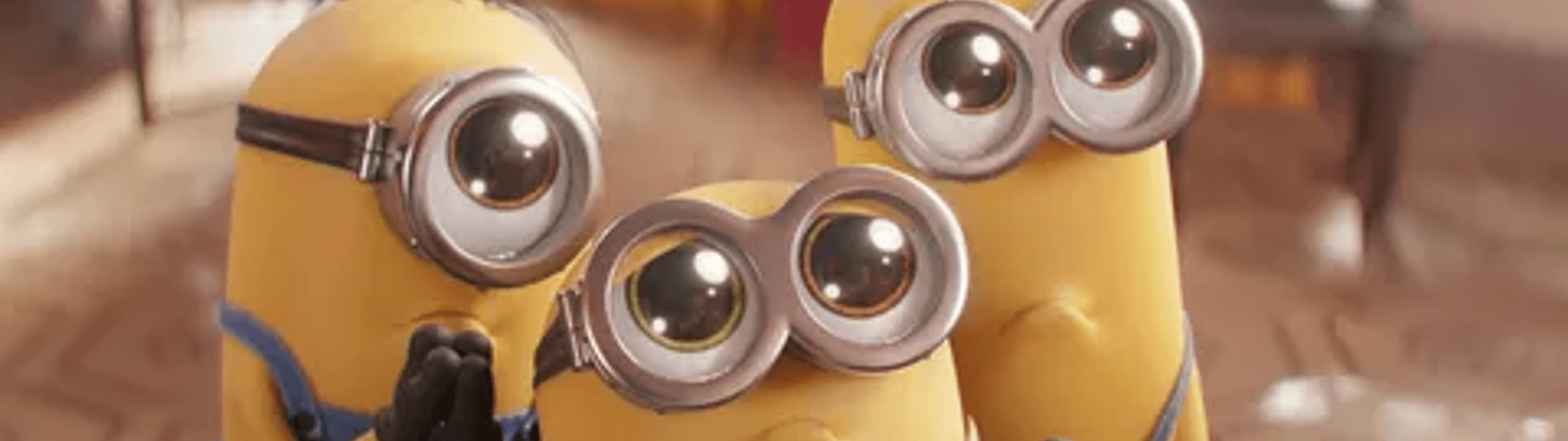 Profile Banner
