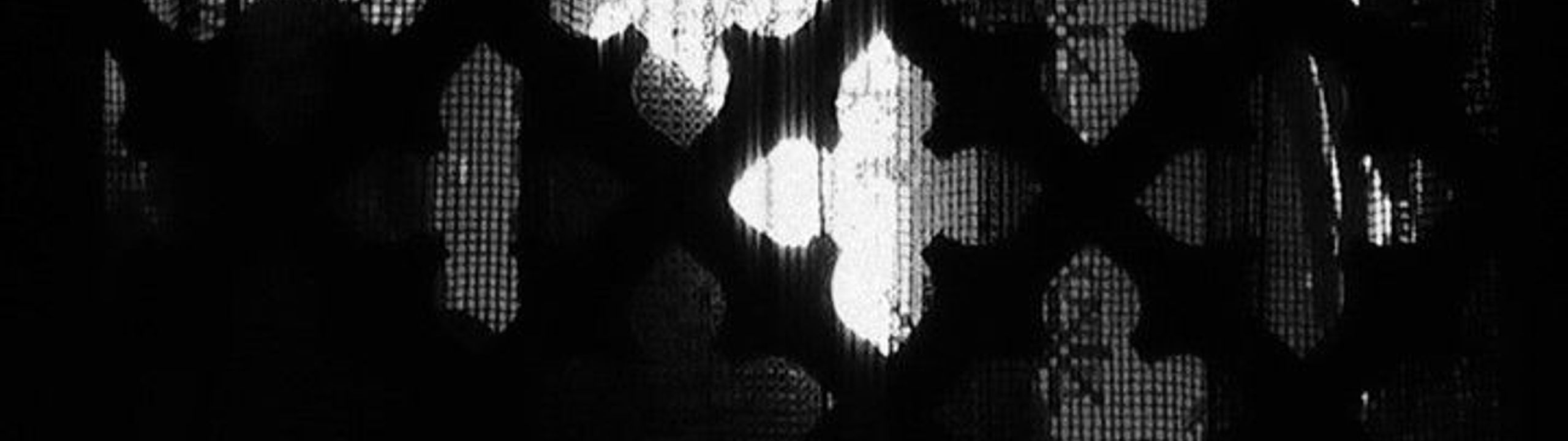 Profile Banner