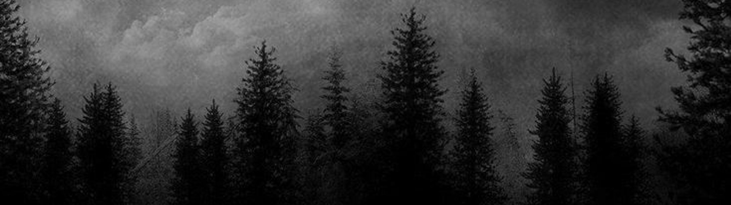 Profile Banner
