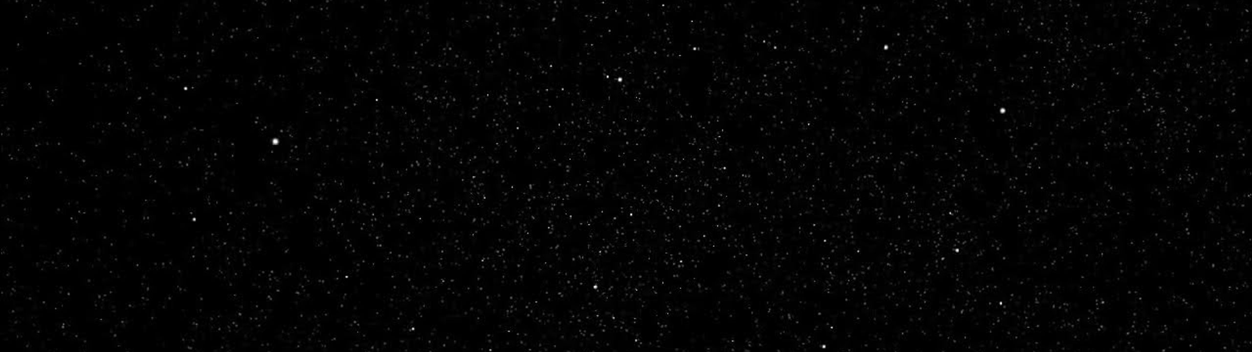 Profile Banner