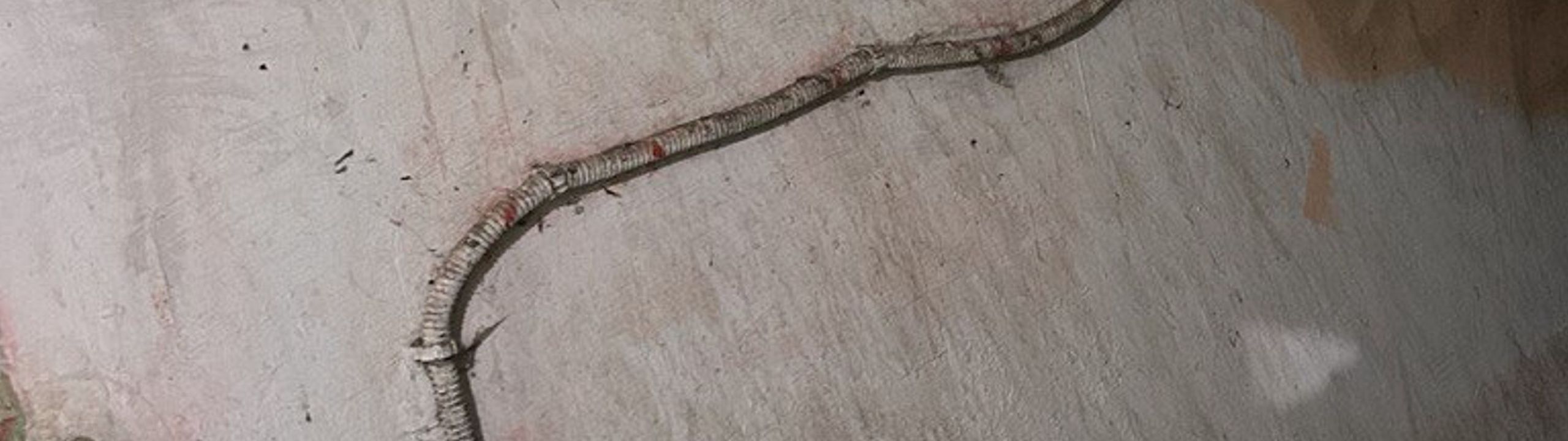 Profile Banner