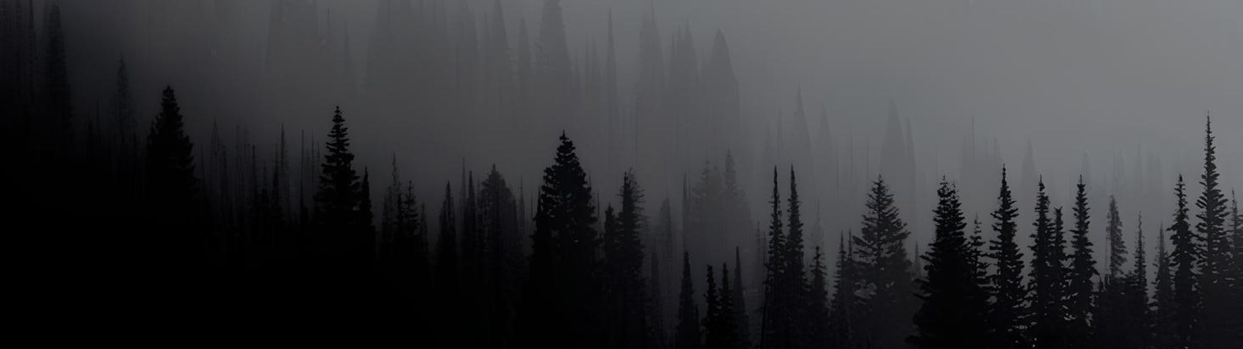 Profile Banner