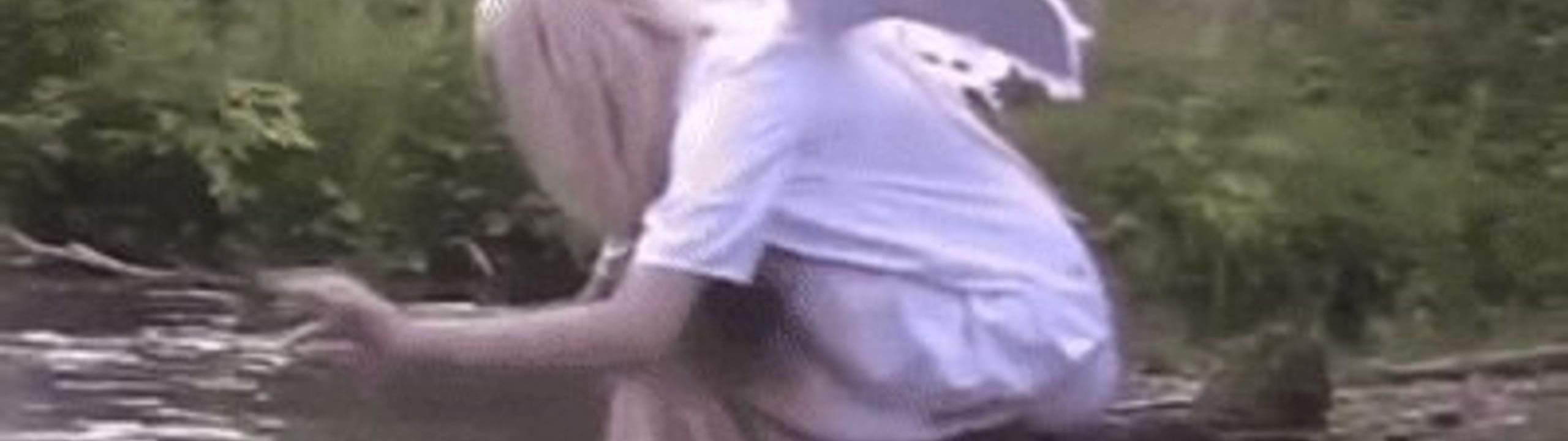 Profile Banner