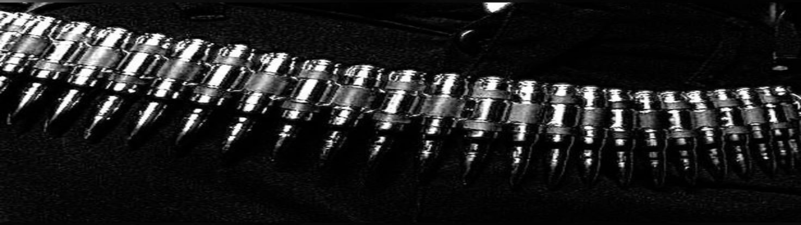 Profile Banner