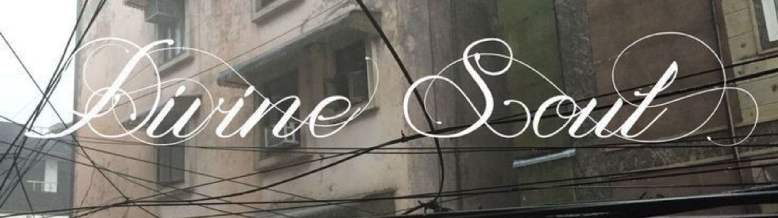 Profile Banner