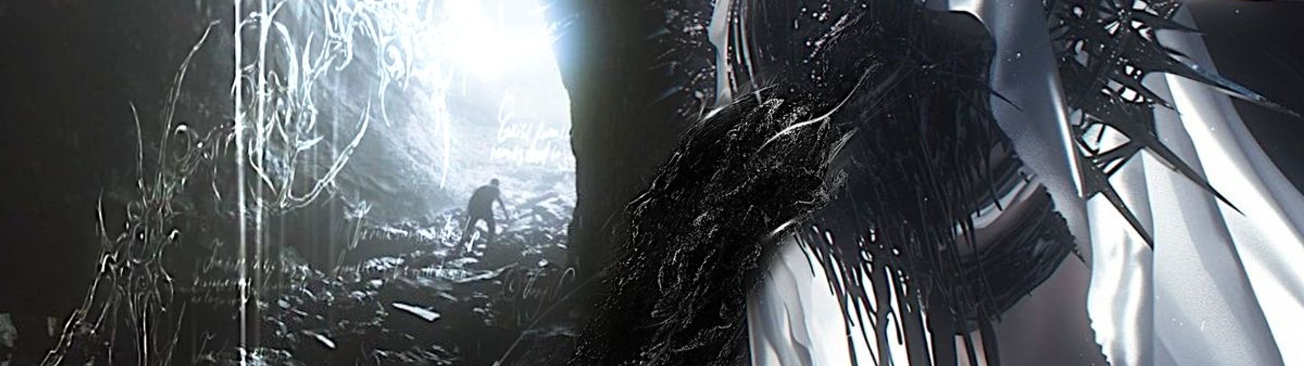 Profile Banner