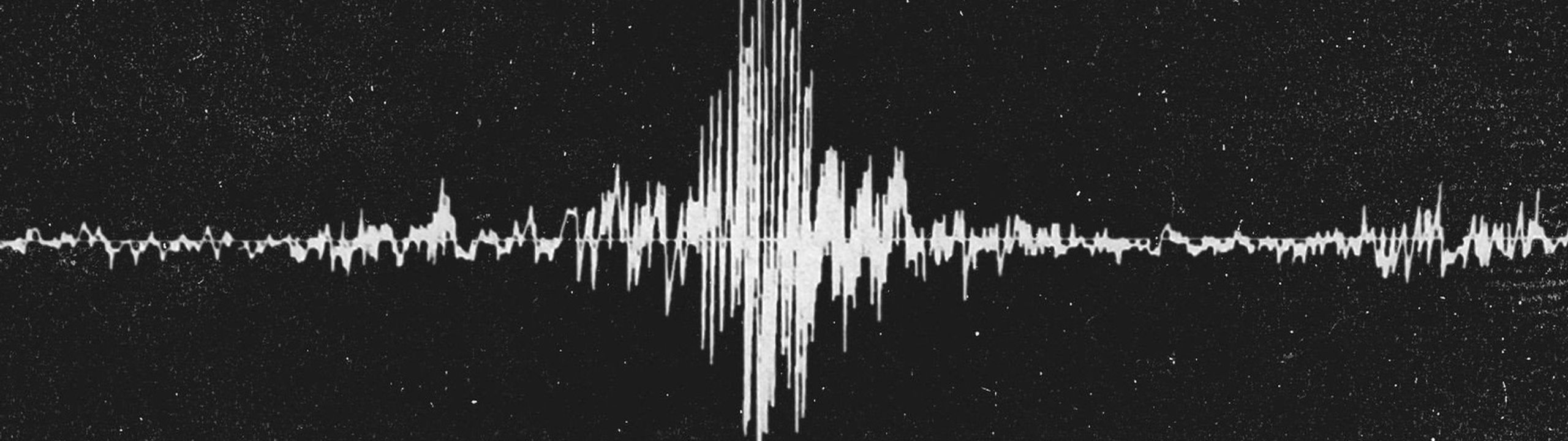 Profile Banner