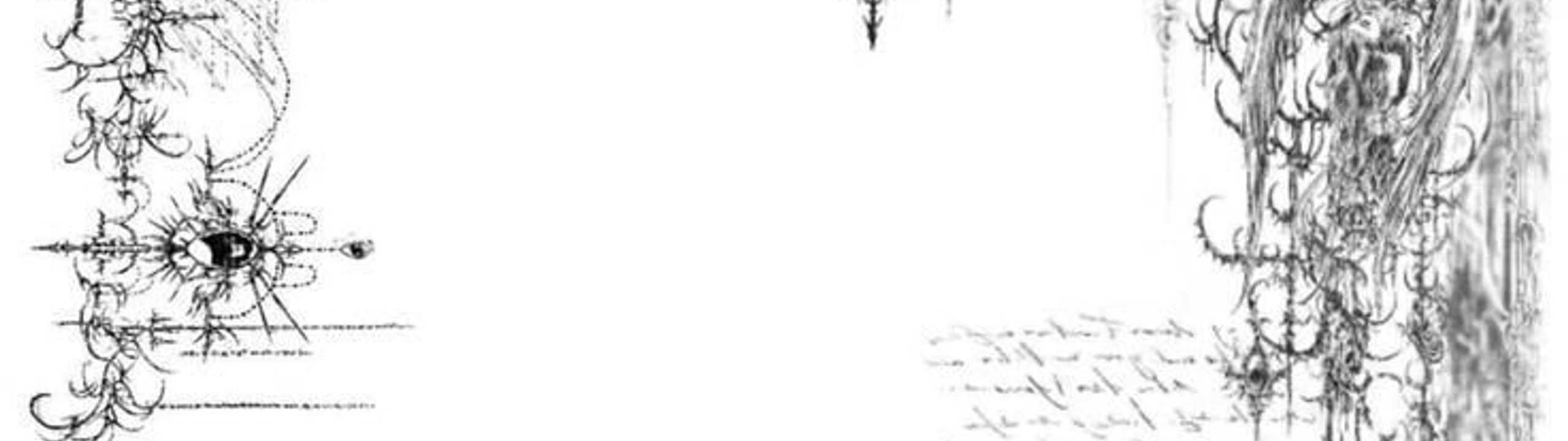 Profile Banner