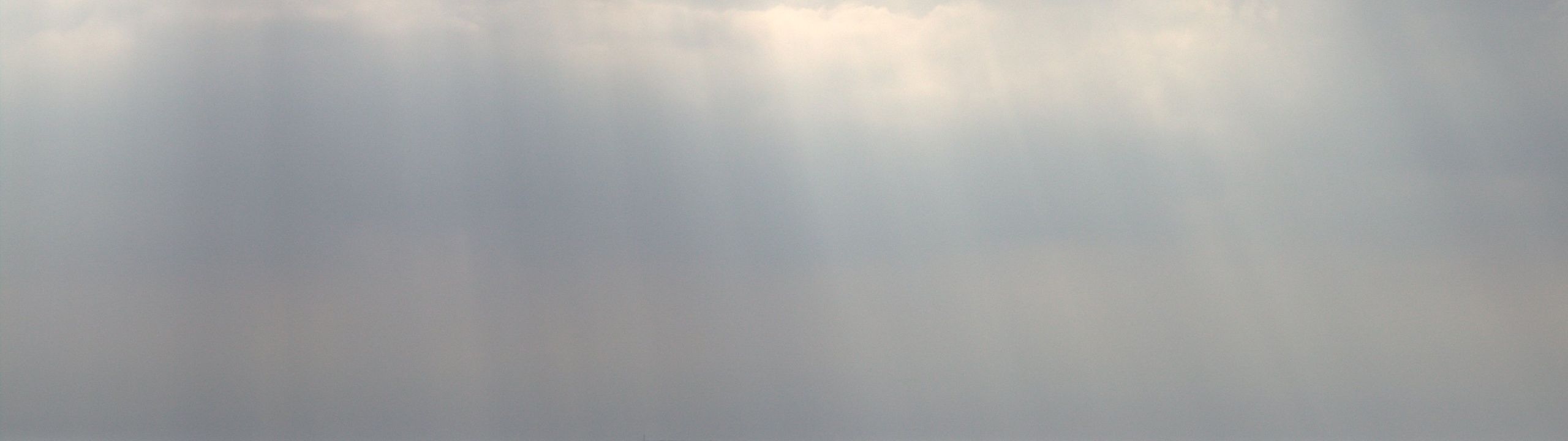Profile Banner