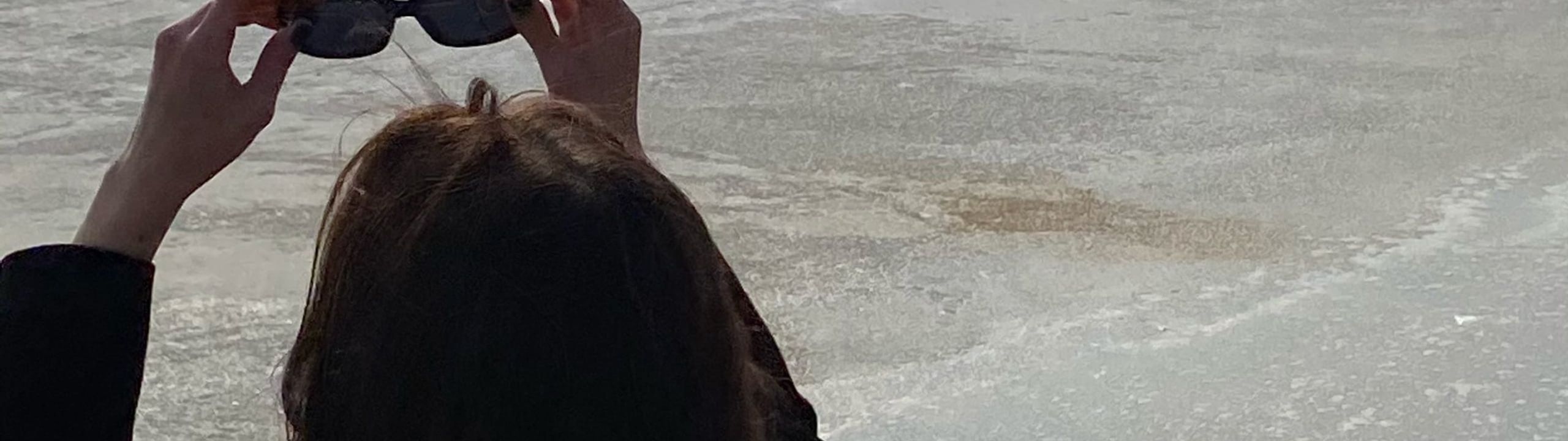 Profile Banner