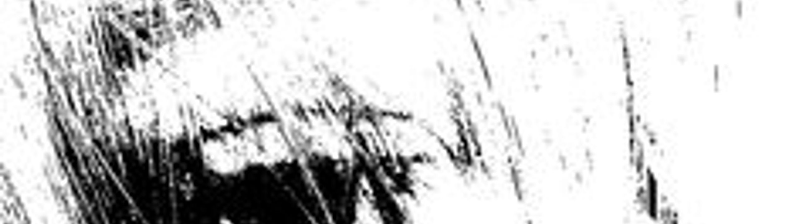 Profile Banner