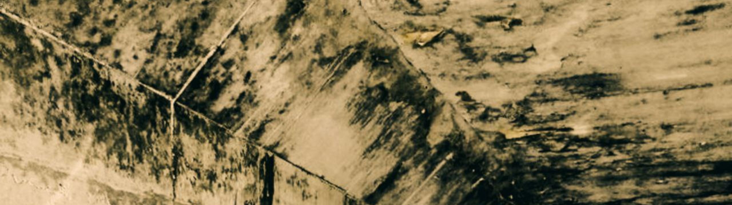 Profile Banner