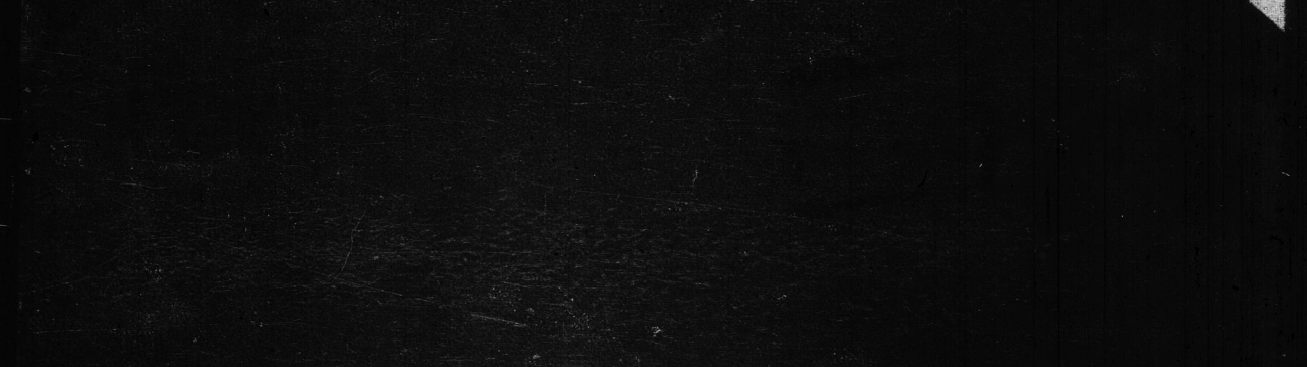 Profile Banner