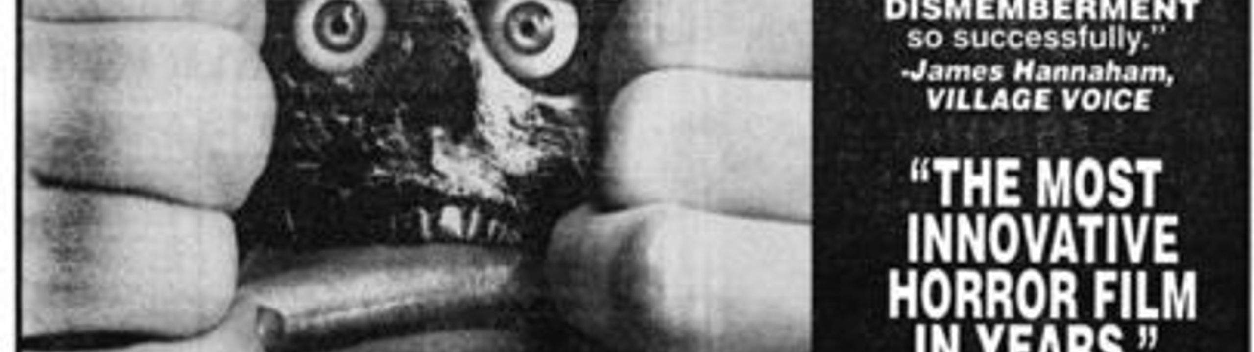 Profile Banner