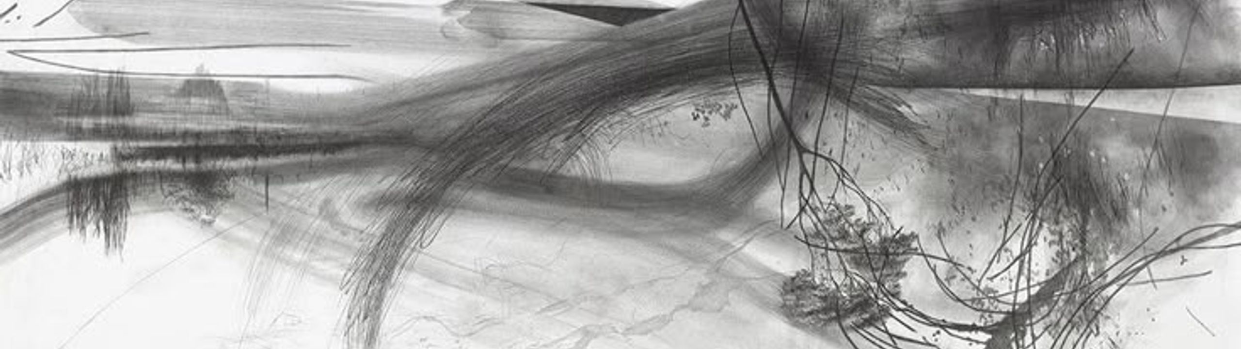 Profile Banner