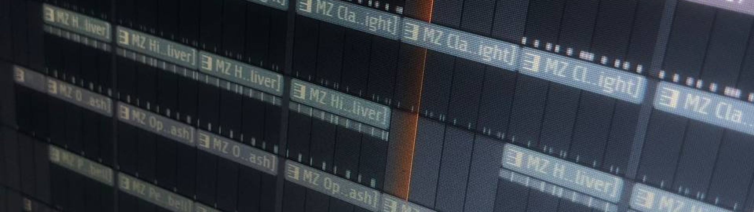 Profile Banner