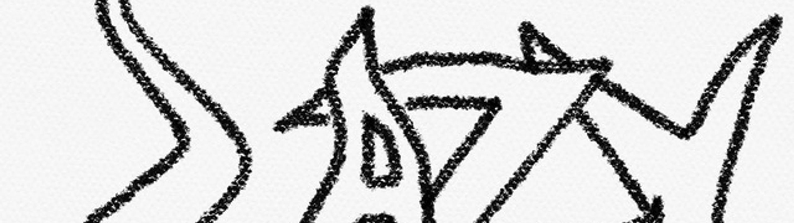Profile Banner