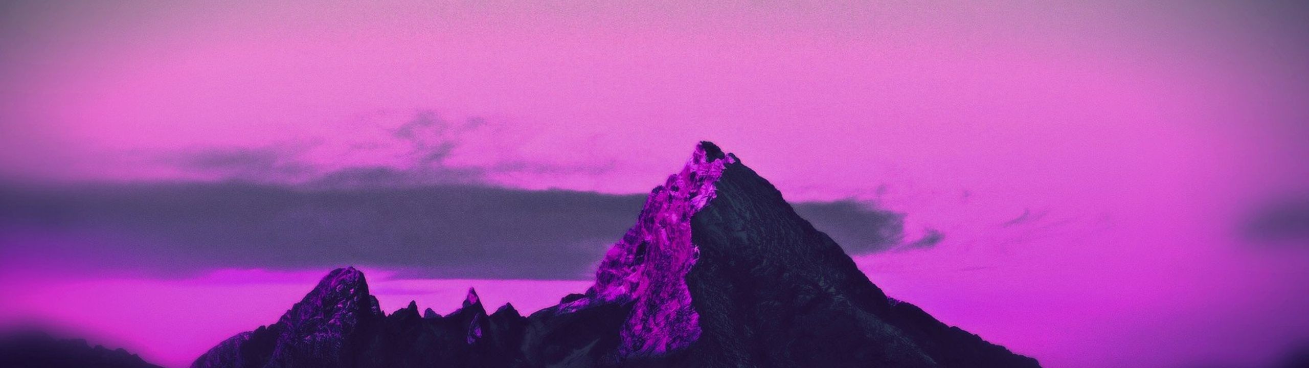 Profile Banner