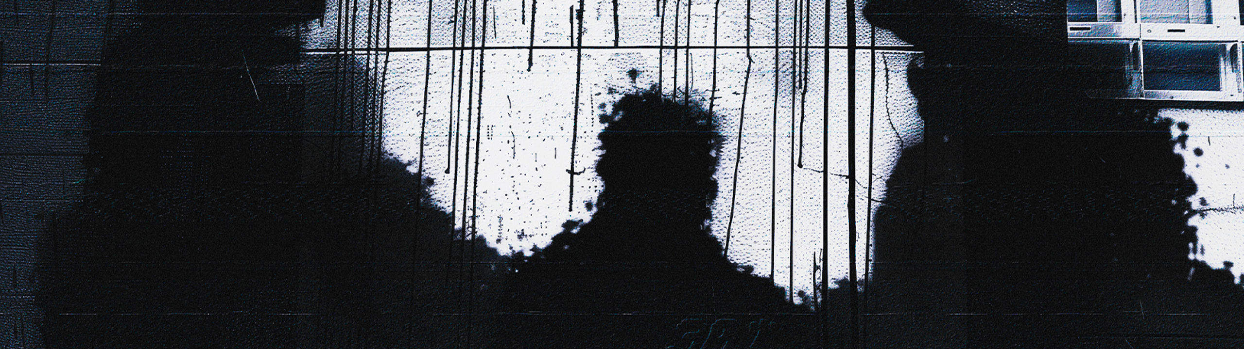 Profile Banner